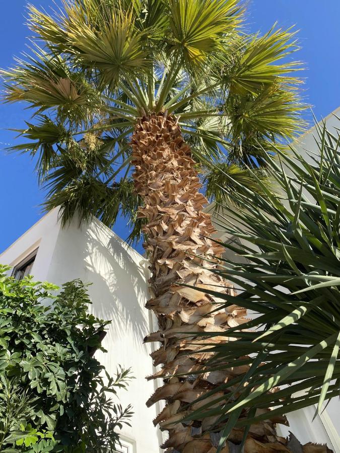 Villa Sezen Kalkan Bagian luar foto